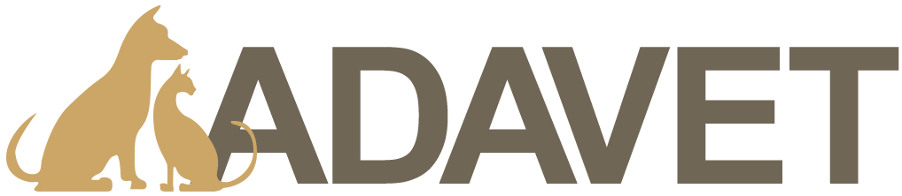 RC-SHN-Wet-MiniAdult-MV-Eretailkit-ro_RO-min